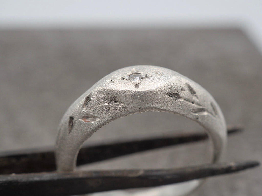Nature Signet